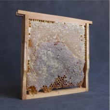 Göle Petek Balı (1600-1700 Gr.)